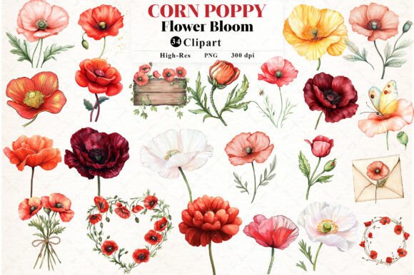 Download Corn Poppy Flower Bloom Clipart - Clip Collection