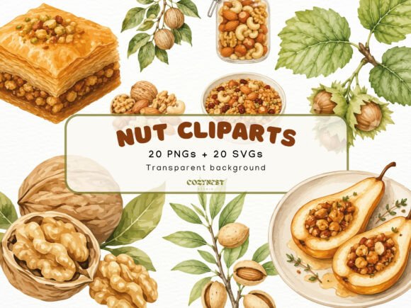 Download Nut Watercolor Cliparts, Botanical PNG - Clip Collection