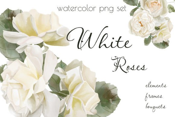 Download White Roses Png Watercolor Set, Clipart - Clip Collection