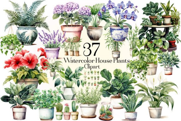 Download Watercolor House Plants Clipart - Clip Collection