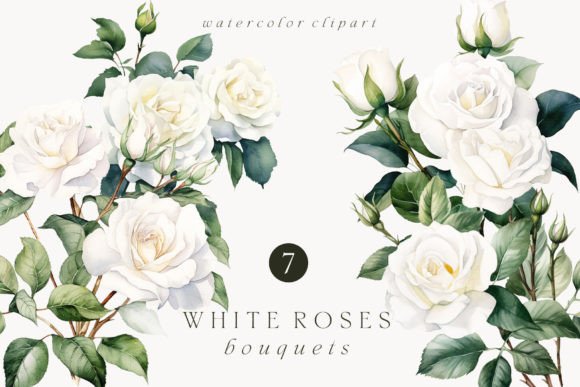 Download White Roses Bouquets Watercolor Clipart - Clip Collection