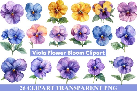 Download Viola Flower Bloom Clipart - Clip Collection
