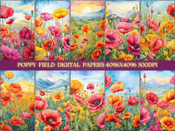 Download Vibrant Poppy Field Floral Backgrounds - Poppy field Collection