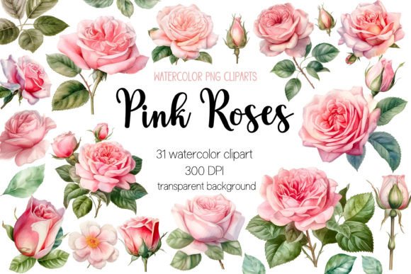 Download Pink Roses Watercolor Clipart Bundle - Clip Collection
