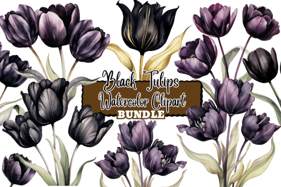 Download Black Tulips Flowers Watercolor Clipart - Clip Collection