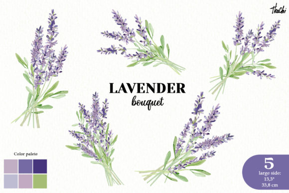 Download Watercolor Lavender Clipart Violet Png - Clip Collection