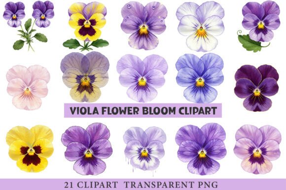 Download Viola Flower Bloom Clipart - Clip Collection
