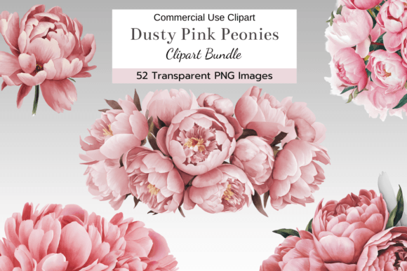 Download Dusty Pink Peony Clipart Bundle - Clip Collection