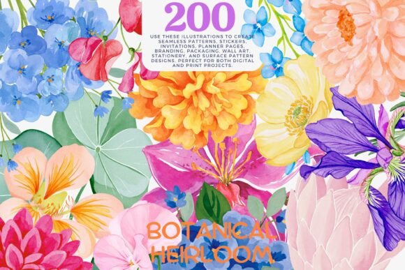 Download Watercolor Flower Clipart Bundle - Clip Collection