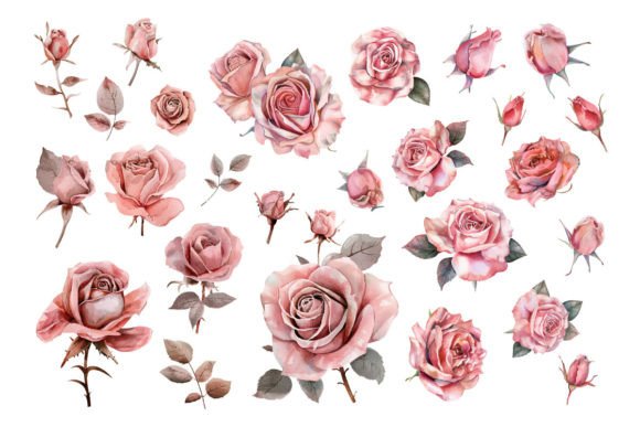 Download Pink Roses, Printable Watercolor Clipart - Clip Collection