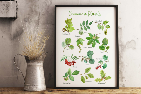 Download Common Plants Clip Arts and Poster - Clip Collection