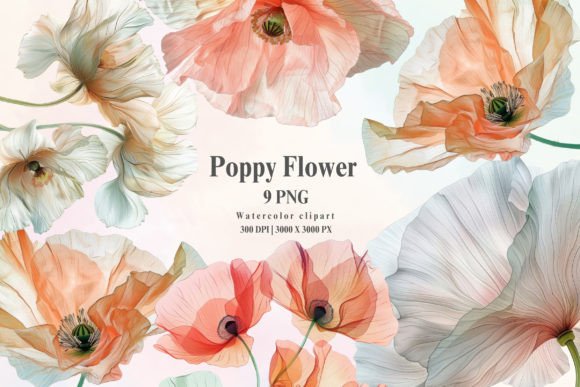 Download Watercolor Abstract Poppy Flower Clipart - Clip Collection