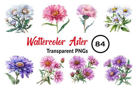 Download Watercolor Aster Flower Clipart - Clip Collection