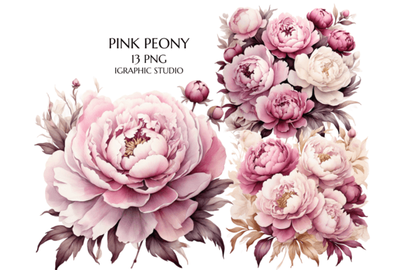 Download Pink Peony Clipart, Peonies Png - Clip Collection