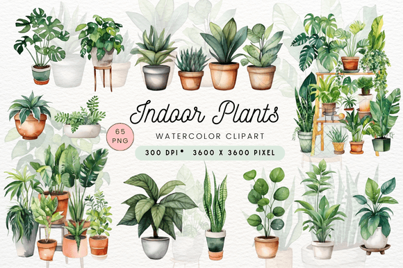 Download Watercolor Indoor Plants Clipart - Clip Collection