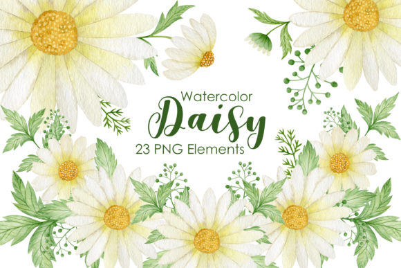 Download Watercolor Daisy Clipart - Clip Collection