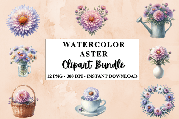 Download Watercolor Aster Flower Clipart Bundle - Clip Collection