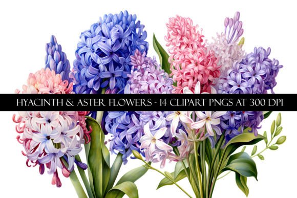 Download Hyacinth and Aster Flower Clipart - Clip Collection