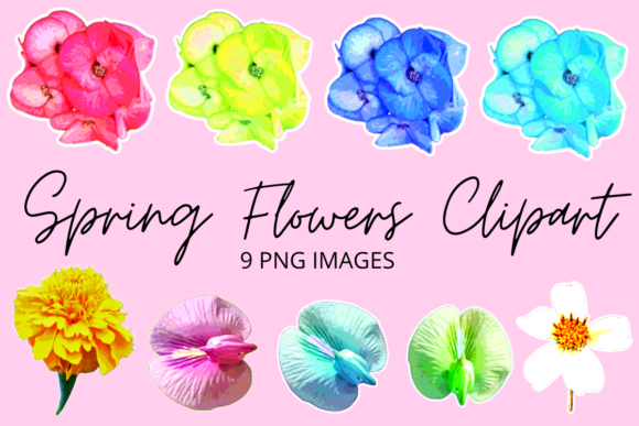 Download Colourful Spring Flowers Clipart Set - Clip Collection