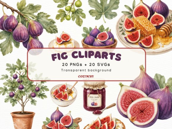 Download Fig Watercolor Cliparts, Botanical PNG - Clip Collection