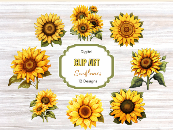 Download Sunflower Autumn Flower Clip Art - Clip Collection
