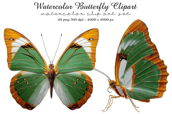 Download Watercolor Butterfly Clipart - Clip Collection