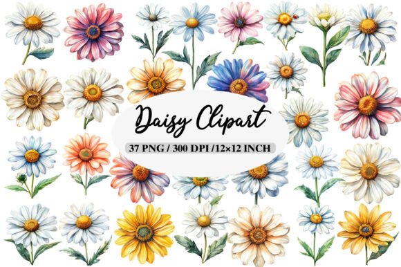 Download Watercolor Daisy Clipart Bundle - Clip Collection