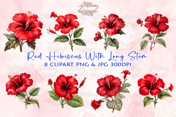Download Red Hibiscus Watercolor Clipart - Clip Collection