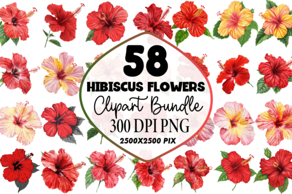 Download Watercolor Hibiscus Flowers Clipart Png - Clip Collection