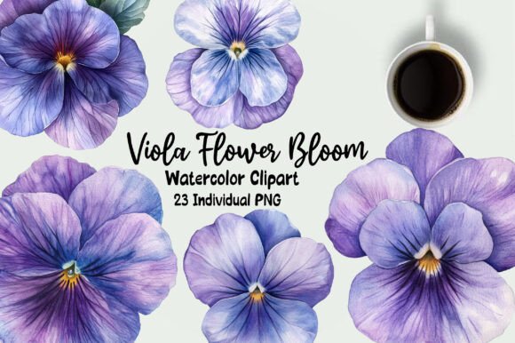 Download Viola Flower Bloom Clipart - Clip Collection