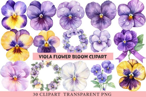 Download Viola Flower Bloom Clipart - Clip Collection