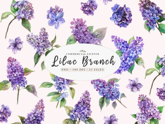 Download Lilac Branch Png, Lilac Blossoms Clipart - Clip Collection