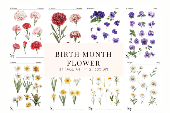 Download Birth Month Flower Clipart PNG - Clip Collection