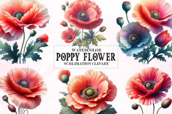 Download Watercolor Poppy Flower Clipart Bundle - Clip Collection