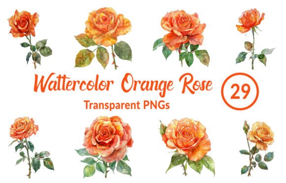Download Watercolor Orange Rose Clipart - Clip Collection