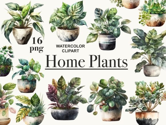 Download House Plants Clipart, Potted Plants Png - Clip Collection